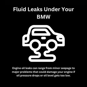 Infographic showing fluid leak as one of the critical bmw warning signs to watch